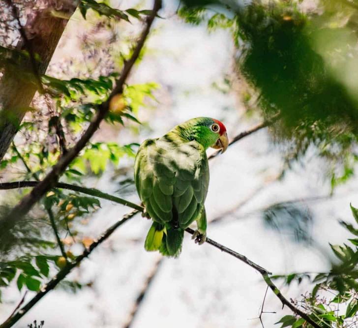 Chart showing change in encampment reports from first quarter 2024 to 2025.