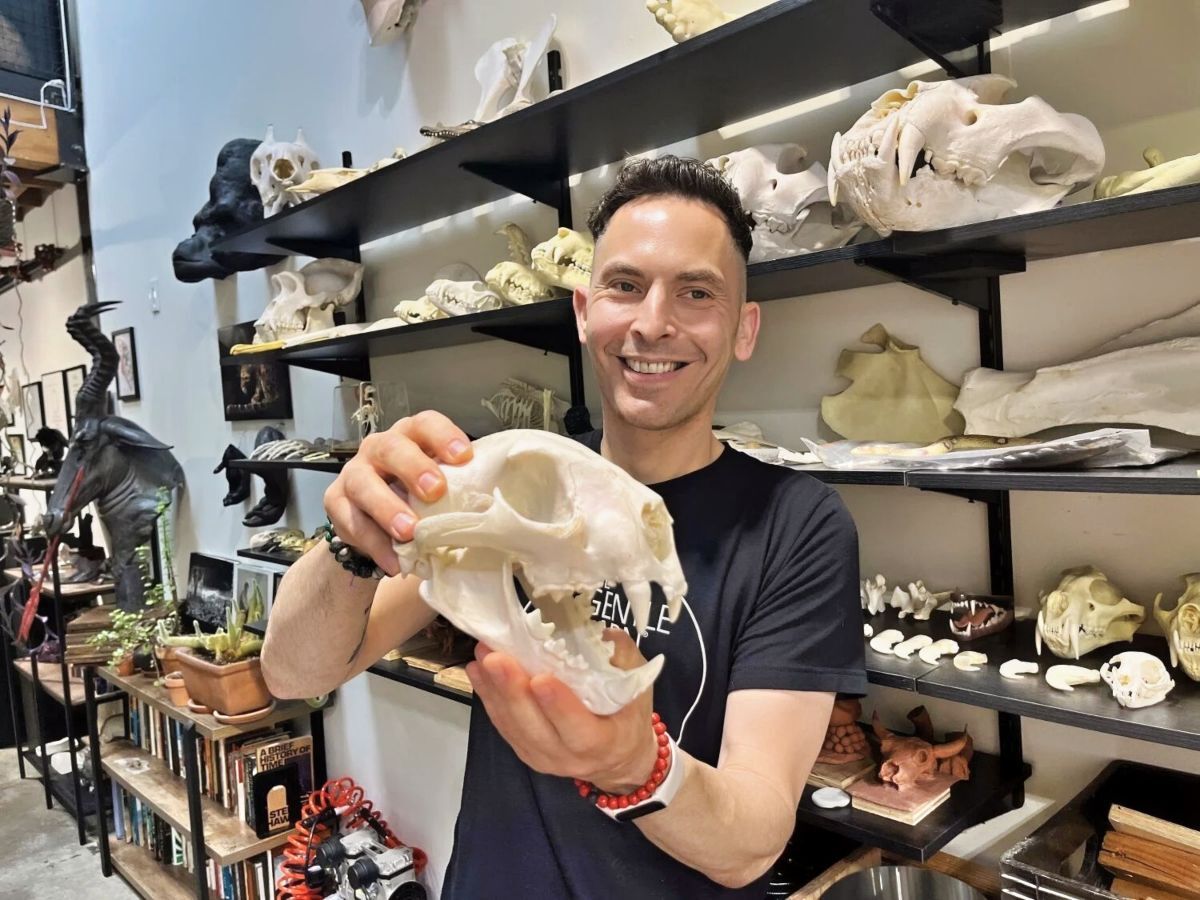 Artist brings P-22 to life in new Griffith Park memorial | Lincoln Heights  News | theeastsiderla.com