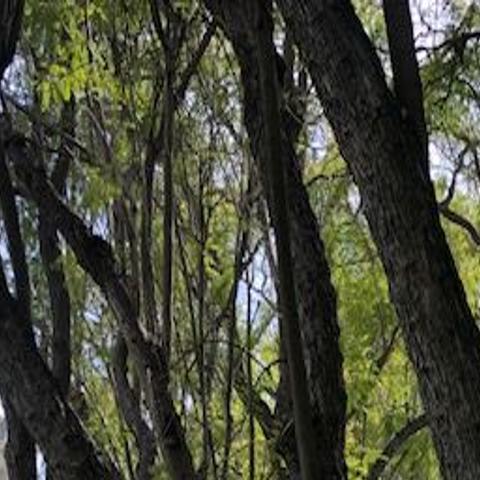 What S Open And Closed In L A Parks During The Pandemic Parks