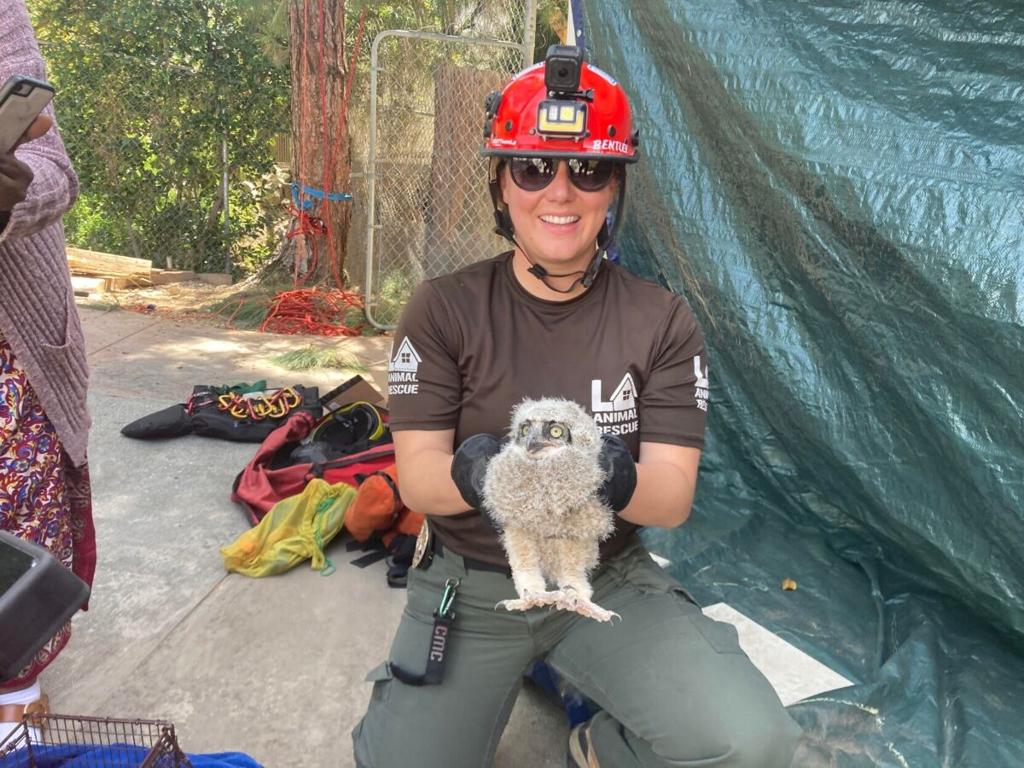LA Animal Rescue Team: Free Service for Animals in Distress | Lincoln  Heights News | theeastsiderla.com