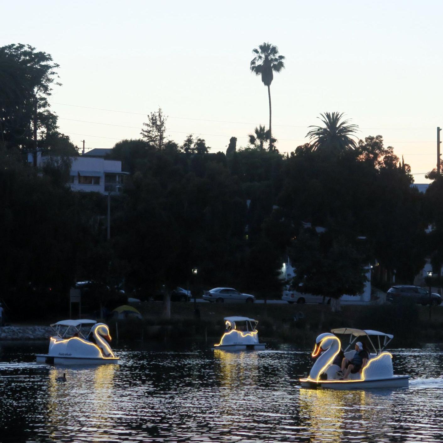 Echo Park Lake At Night 5 5d3f167cad03c.preview