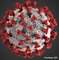 More Coronavirus Coverage