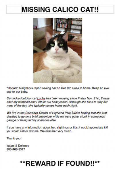 Calico Cat With Interesting Gps >> Lost In Garvanza A Calico Cat Pets And Wildlife Theeastsiderla Com Calico Cat With Interesting Gps >> Lost In Garvanza A Calico Cat Pets And Wildlife Theeastsiderla Com