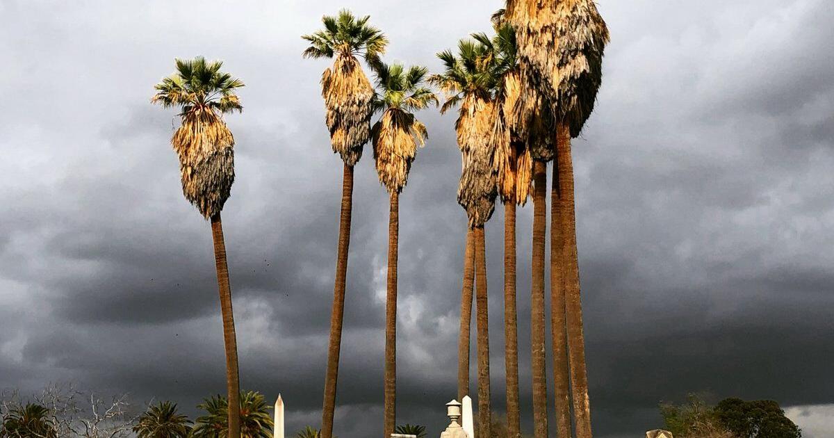 LA pioneer Biddy Mason's life, legacy to be celebrated at Evergreen Cemetery in Boyle Heights