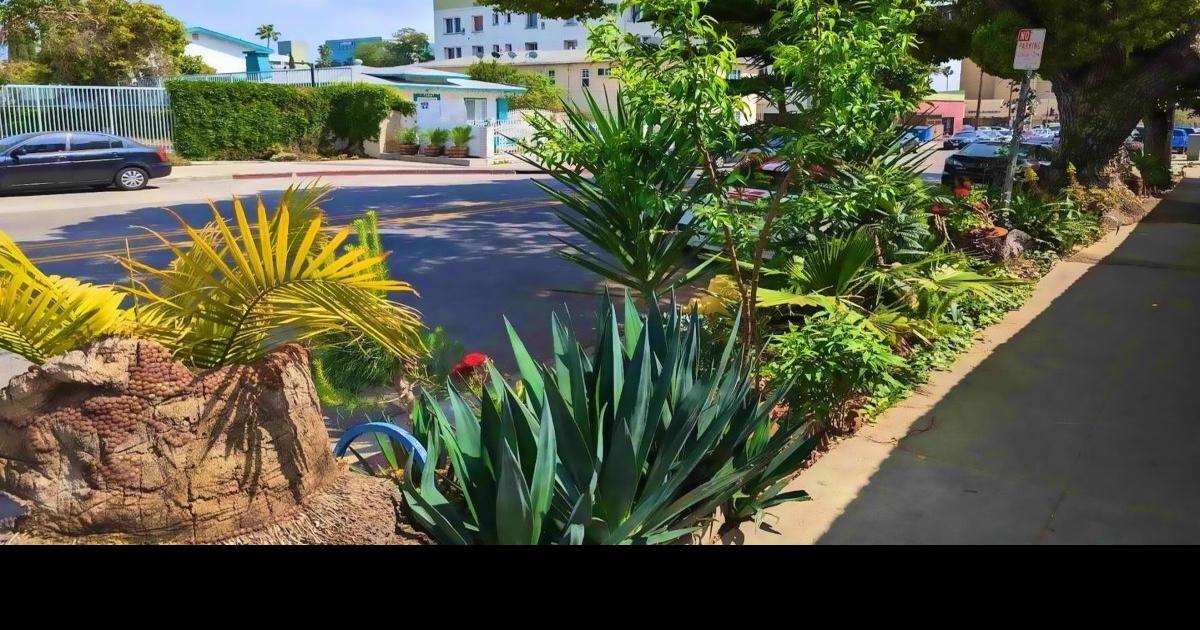 East Hollywood's mysterious Magical Park East Hollywood News