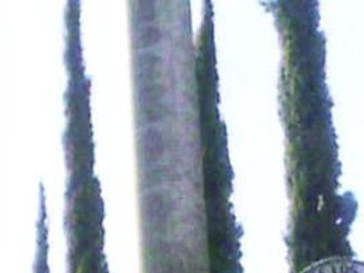 Do You Live In El Sereno Or Rose Hills The City Council May Soon Decide The Answer Government And Politics Theeastsiderla Com