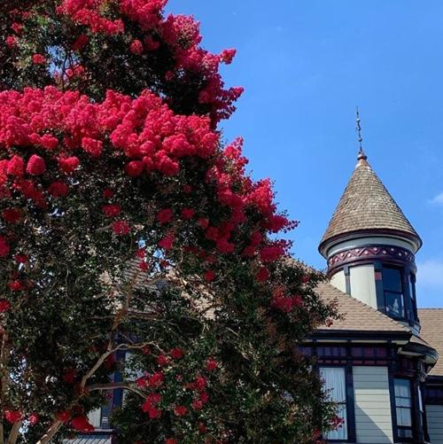 Angelino Heights Street Scene