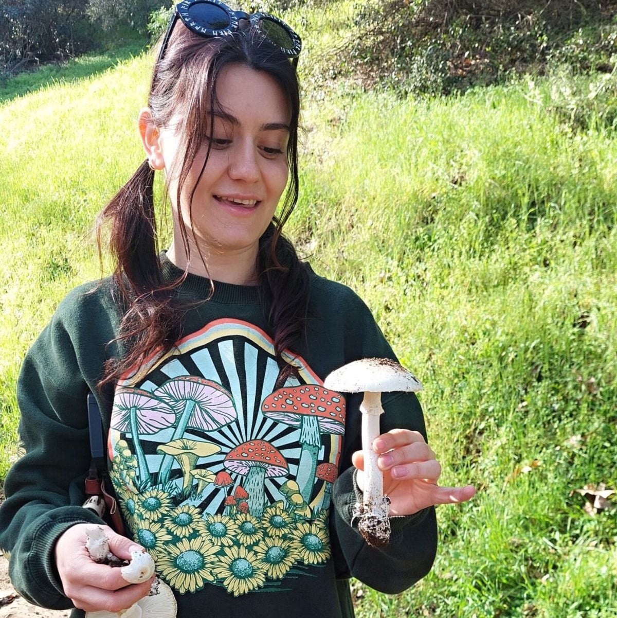 Death cap mushrooms found in Griffith Park amid outbreak | Parks