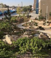 A new Japanese garden takes root at Roosevelt High