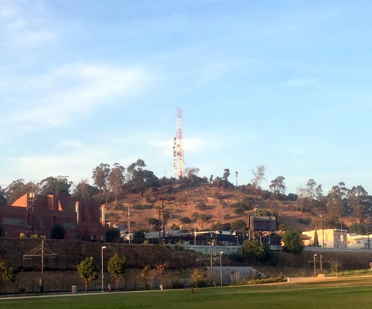 Off-leash dog trails proposed for Radio Hill in Elysian Park | Parks