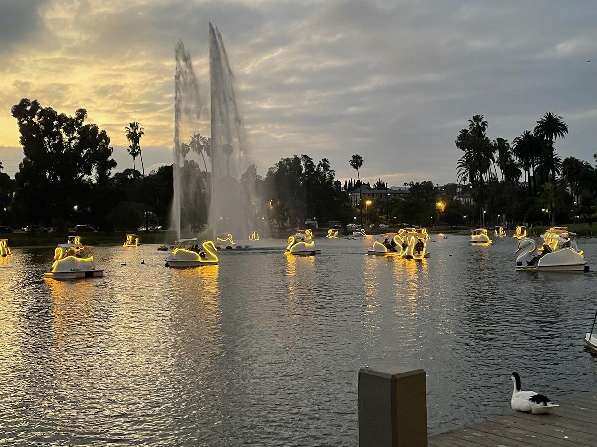 Swan Boats Glide at Echo Park: A Family and Date Night Hit | Echo Park News  | theeastsiderla.com