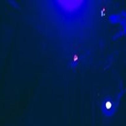 A Latino Rock Band From Boyle Heights Takes On The Indie Music Scene Arts Culture Theeastsiderla Com