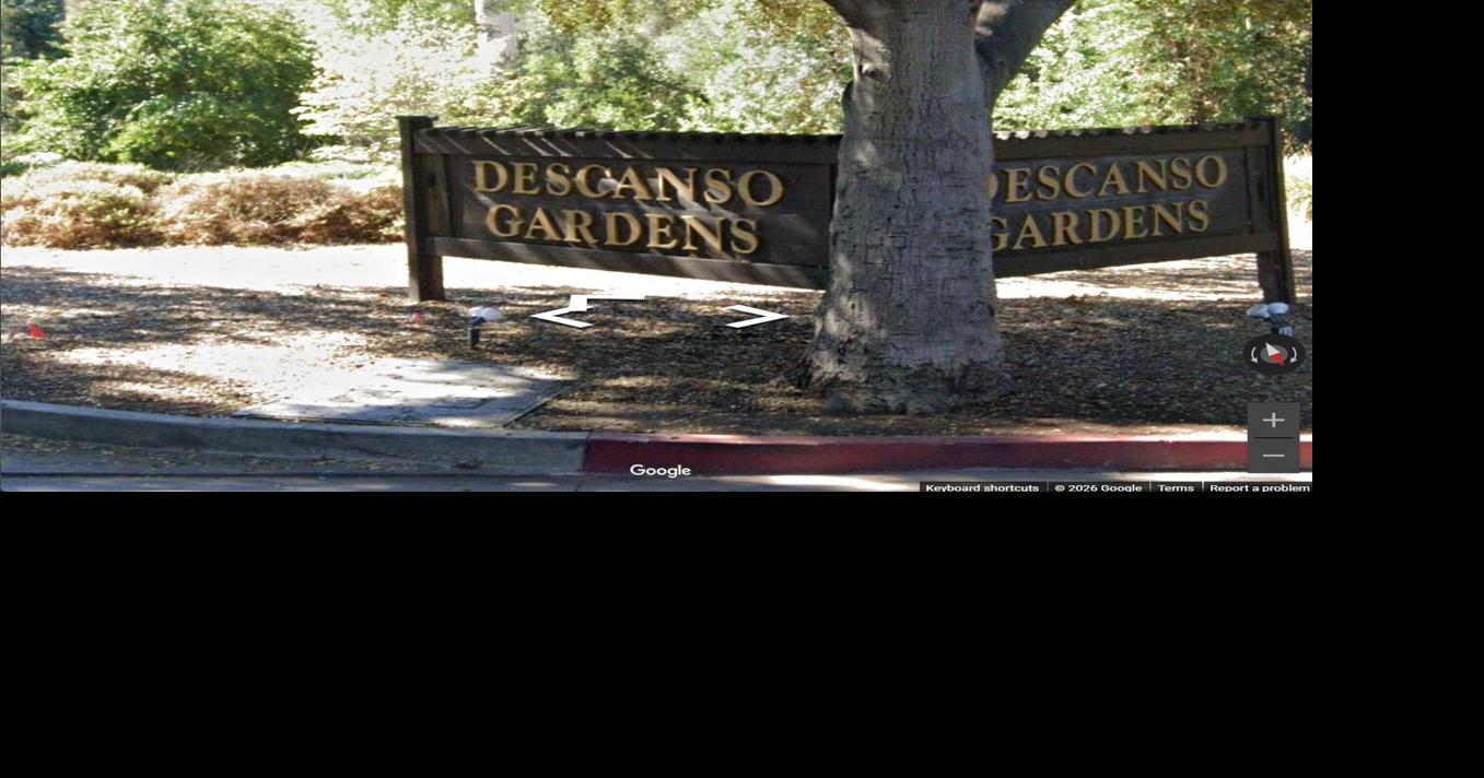 Dinosaur exhibit debuts at Descanso Gardens