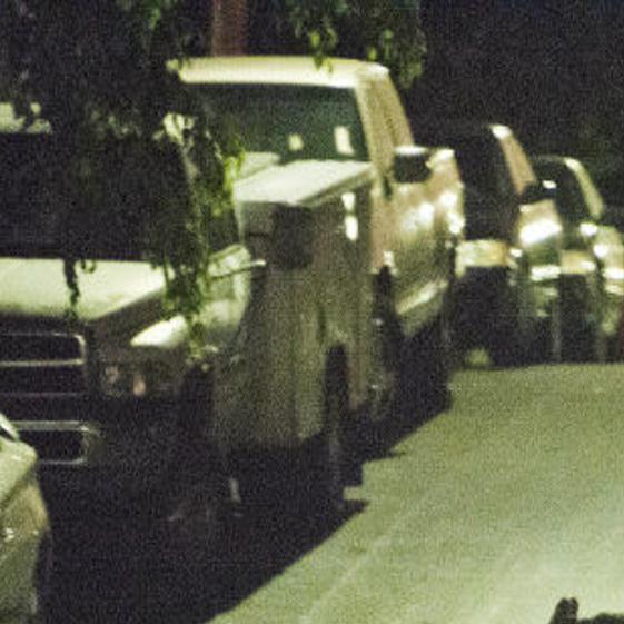 What Wildlife Scientists Learned About Elysian Park And Silver Lake Coyotes Pets And Wildlife Theeastsiderla Com Elysian park from mapcarta, the open map. elysian park and silver lake coyotes