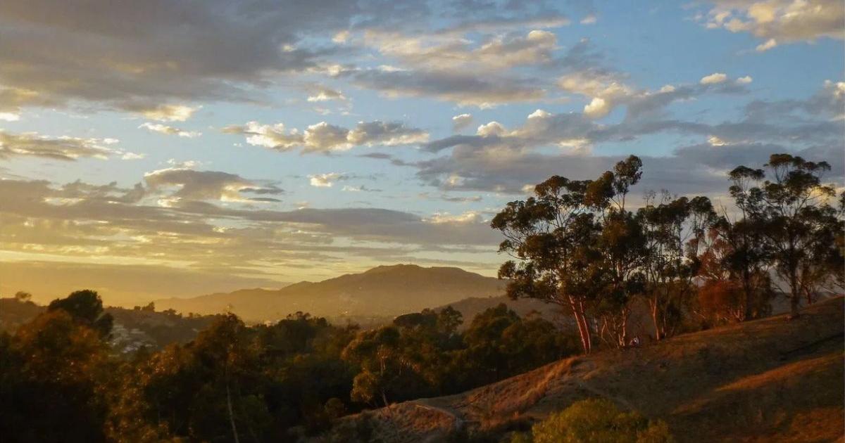 Eagle Rock artist captures 12 years of views from Fiji Hill