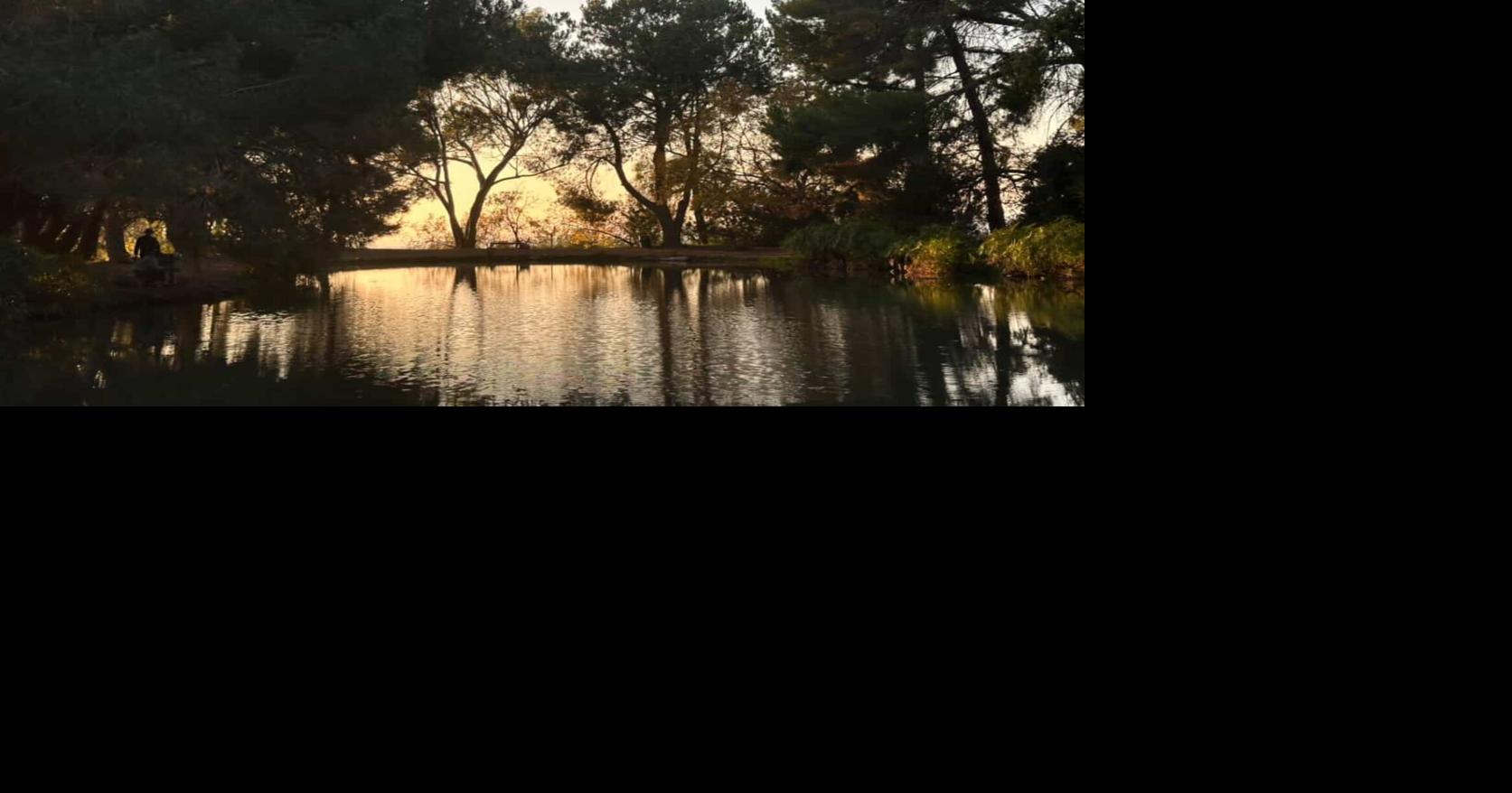 What will Debs Park need under its next master plan? Jul 22, 2026 2 mins ago