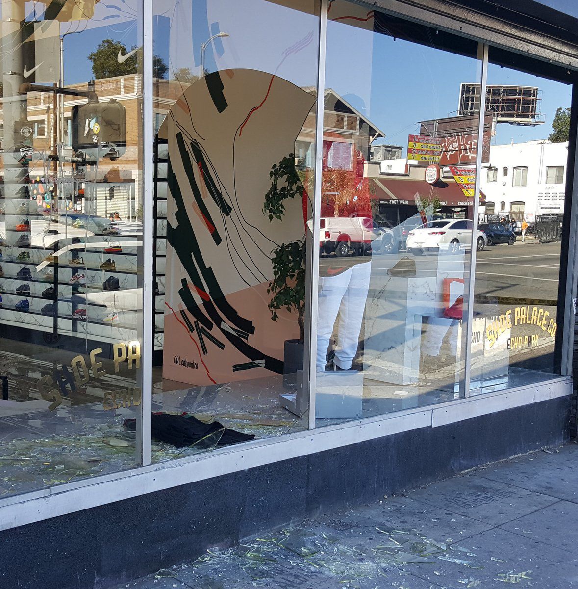 shoe palace on firestone