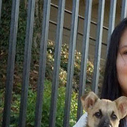 Changing Pet Owner Attitudes Means Fewer Stray Animals On The Streets Of Boyle Heights Pets And Wildlife Theeastsiderla Com