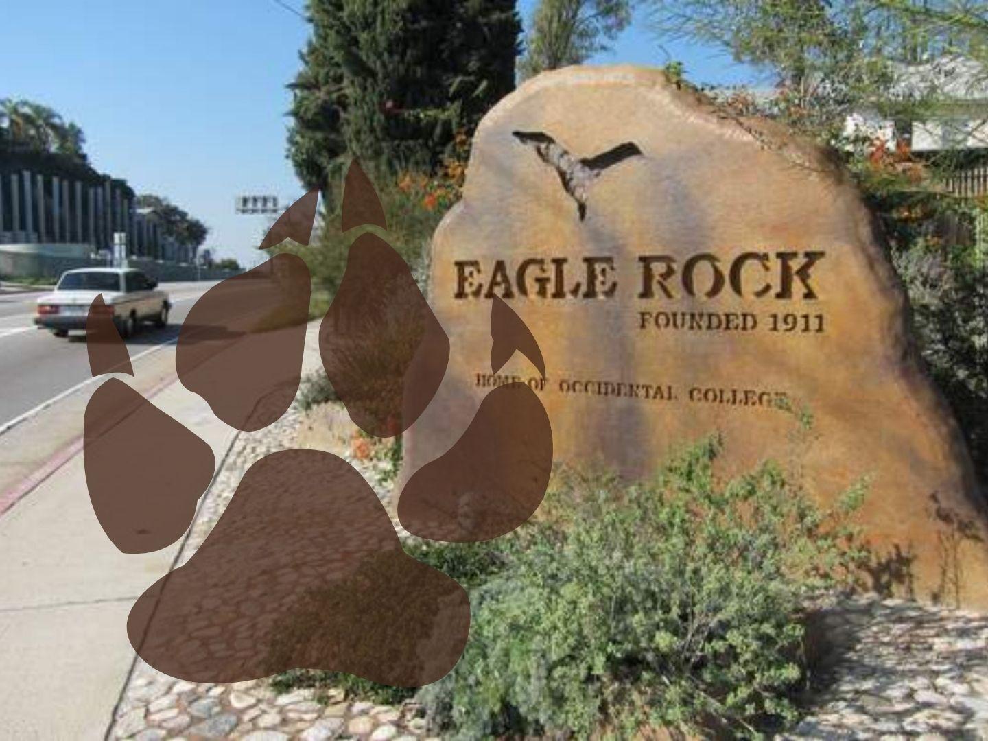 Please don't feed the Eagle Rock bear, Eagle Rock News