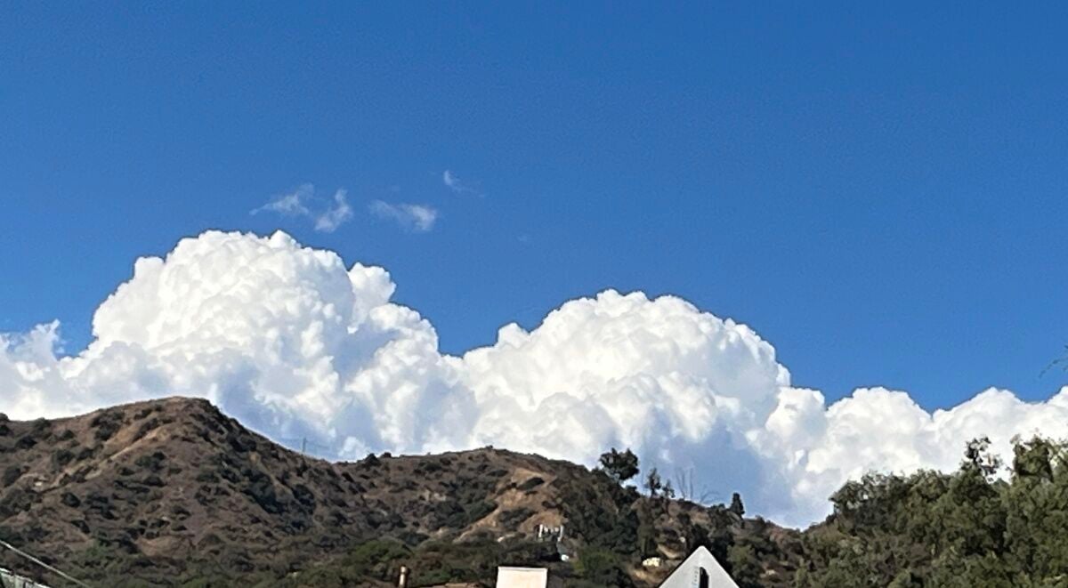 Whimsical Eastern Cloud