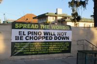 El Pino is not hacked