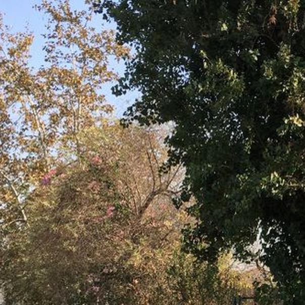 Bike Ban Proposed On L A River Path After Elderly Pedestrian Injured In Elysian Valley Crash Los Angeles River Theeastsiderla Com