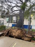 Fallen tree damages Silver Lake classrooms