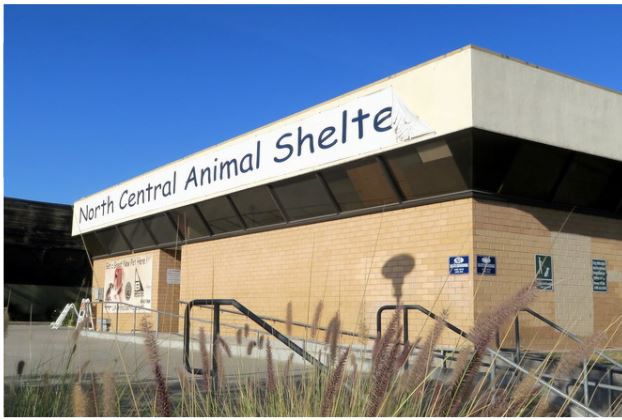 central animal shelter