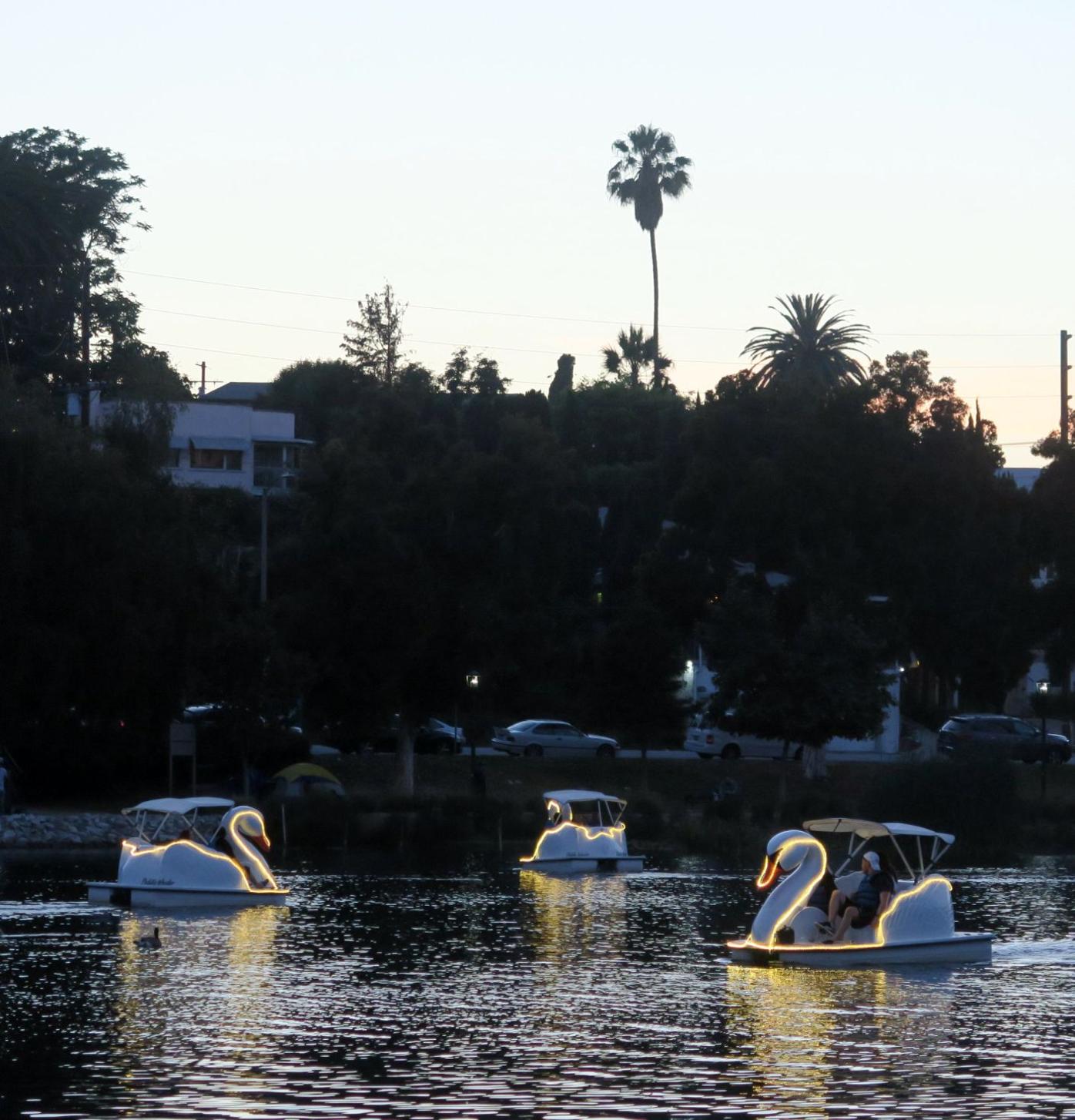Swan boats light up the night at Echo Park Lake Echo Park News