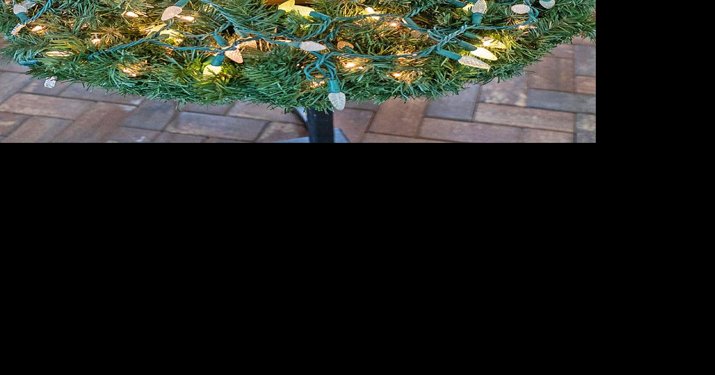 Advent: Expectant delight for the coming of the Lord | Venice ...