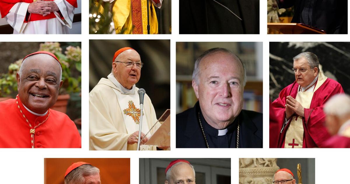 Cardinal 331 Here are 11 cardinals with American ties who will cast votes for the ...