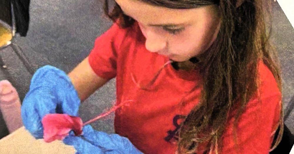 Excellence in Education – STREAM Showcase