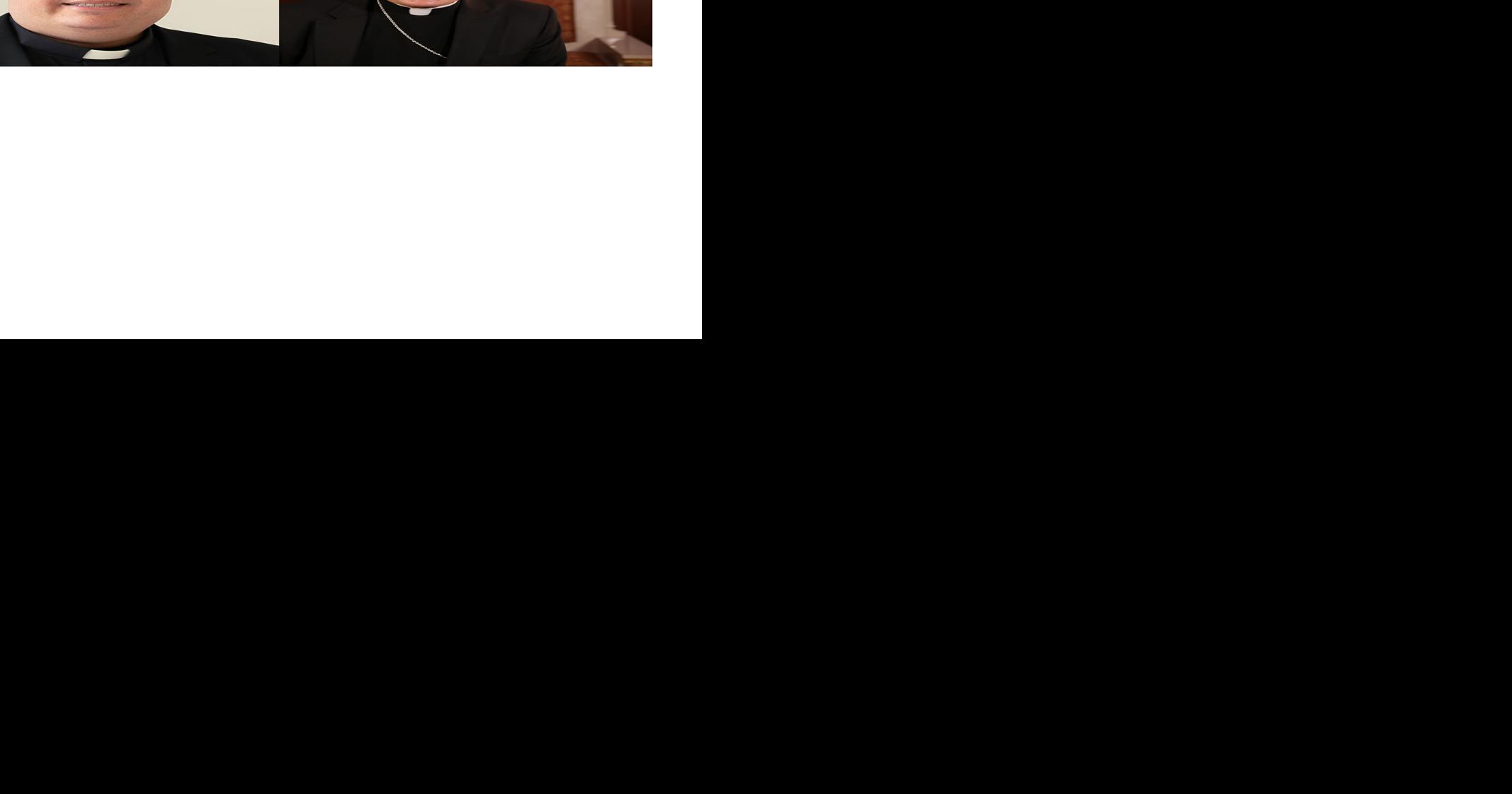 A new shepherd for Palm Beach