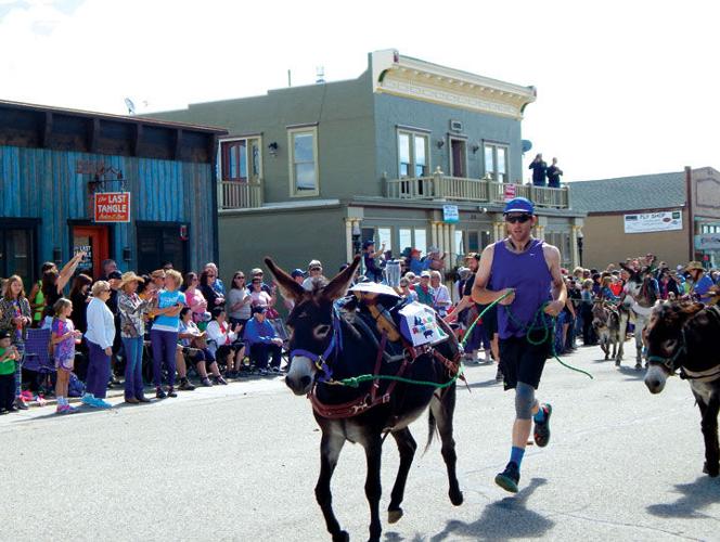 Burro Rodeo Fairplay Burro Days | Free Content | theflume.com