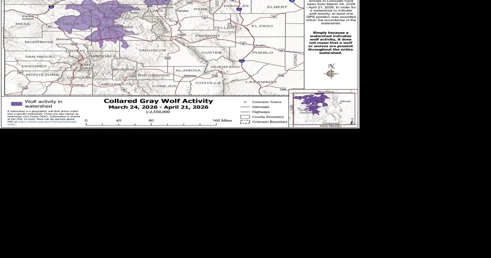Wolves remain in state’s northwest in recent activity map | Local News ...