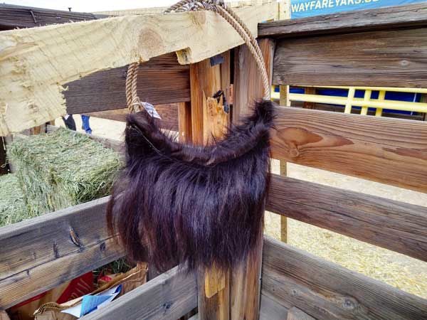 When yaks get haircuts