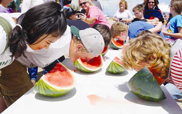 Disappearing watermelon