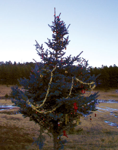 Oh Christmas Tree