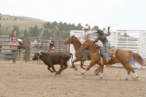 Larry Fields Rodeo Roper Guffey resident and maverick rodeo legend Larry Mahan talks about the ...