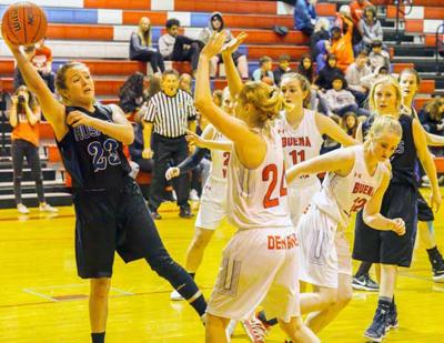 Buena Vista Proves A Challenging Venue For Pchs Girls Boys Basketball Squads Sports Theflume Com