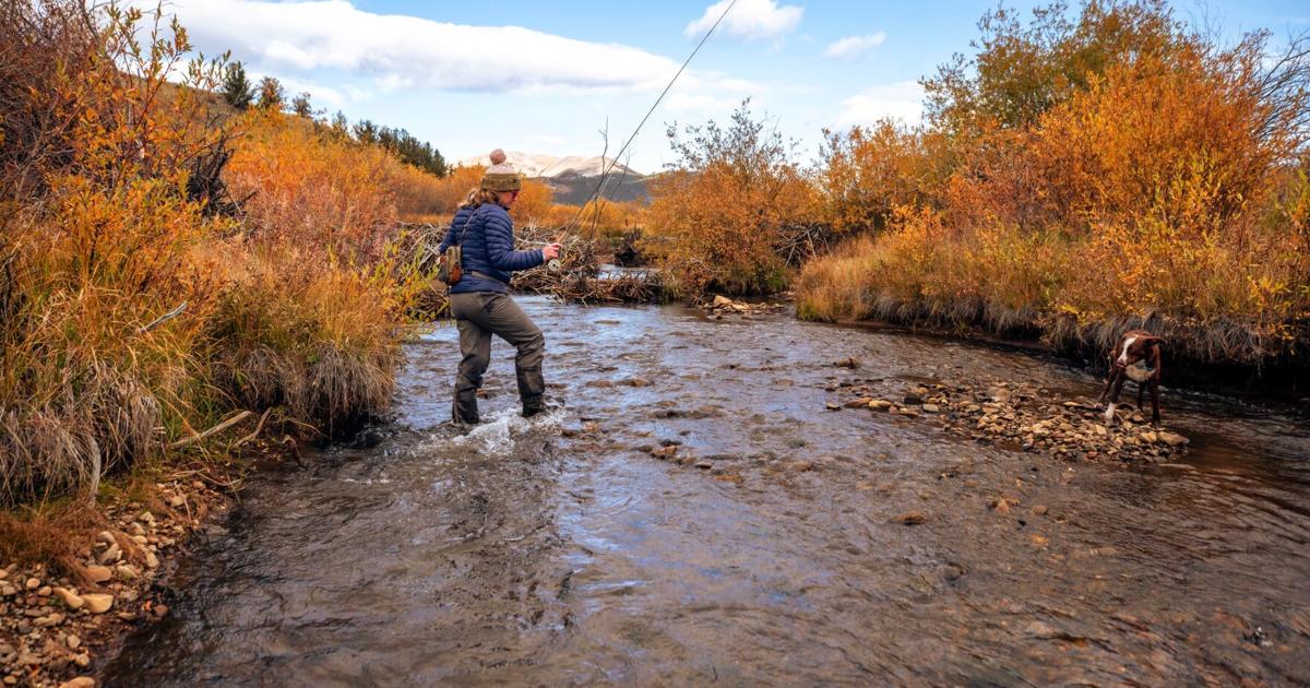 Collard Ranch Opens for Public Hunting and Fishing | Local News ...