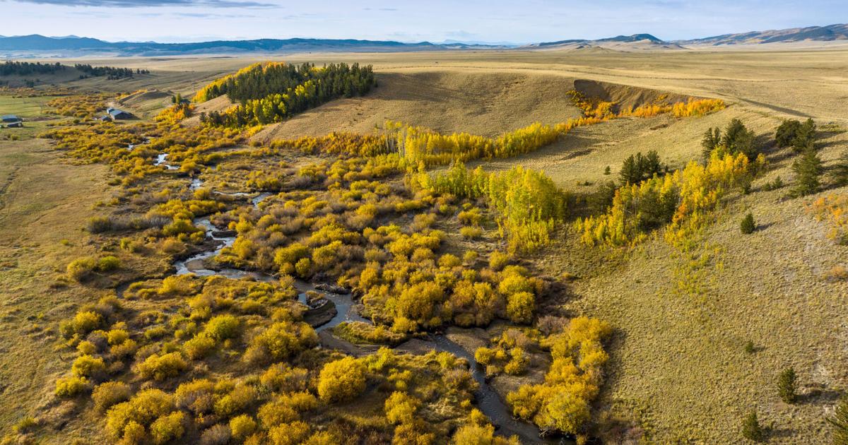 Collard Ranch conserved as state wildlife area, ensuring public access ...