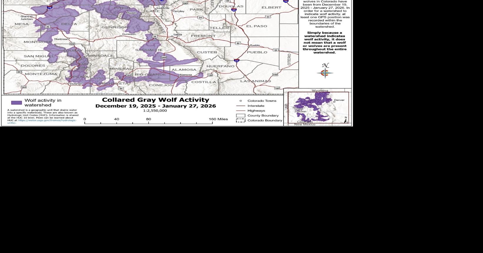 Gray wolf ranges near tribal lands in southwestern Colorado in recent activity map
