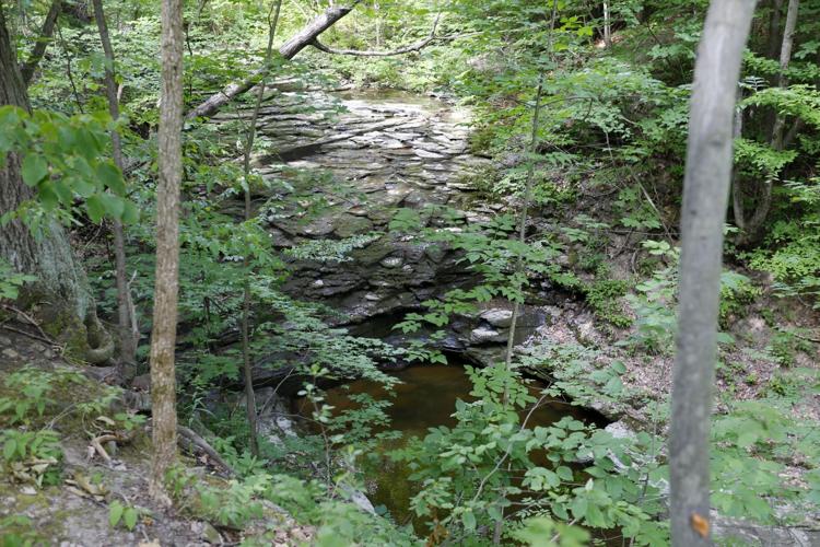 LOCAL JACKSON FALLS LAND
