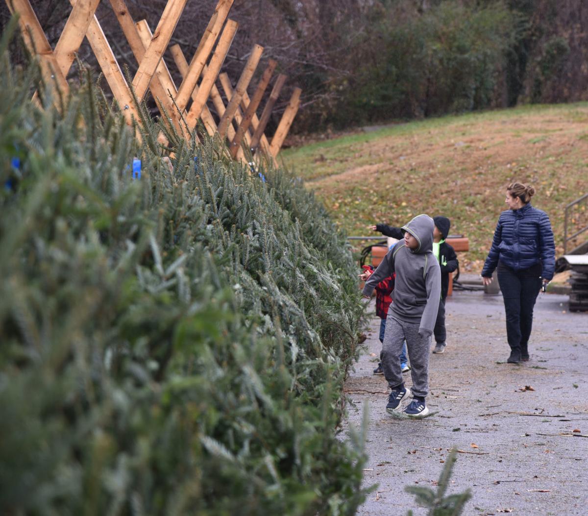 Operation Christmas Tree