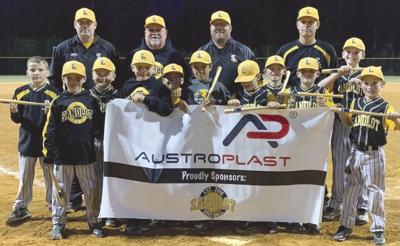 BASEBALL CHAMPIONS