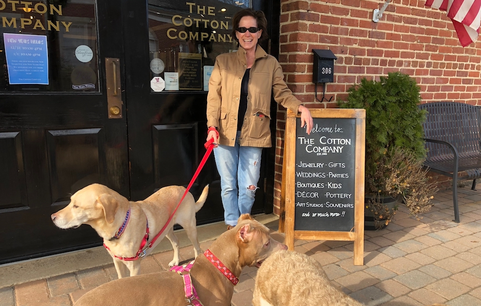 Five historic small towns that welcome four-legged road-trippers (image)