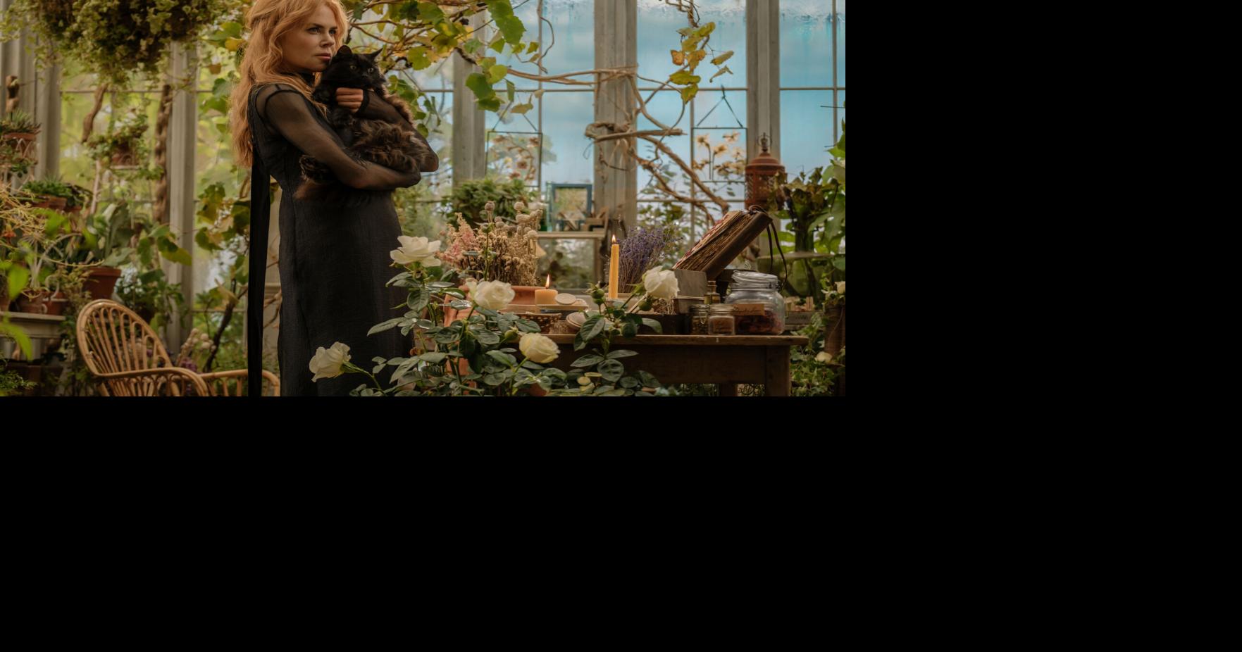 Entertainment 5 movies to get excited about seeing in September Caroline Darney USA Today Network Sep 7, 2026 13 hrs ago
