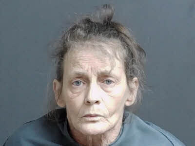 Carol Elizabeth Long