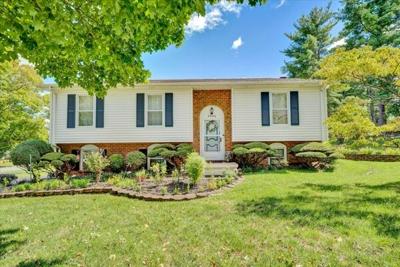 4 Bedroom Home in Roanoke - $310,000